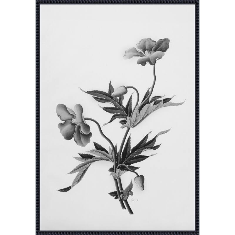 Botanical No. 2 by Deborah Revell Framed Canvas Wall Art Print