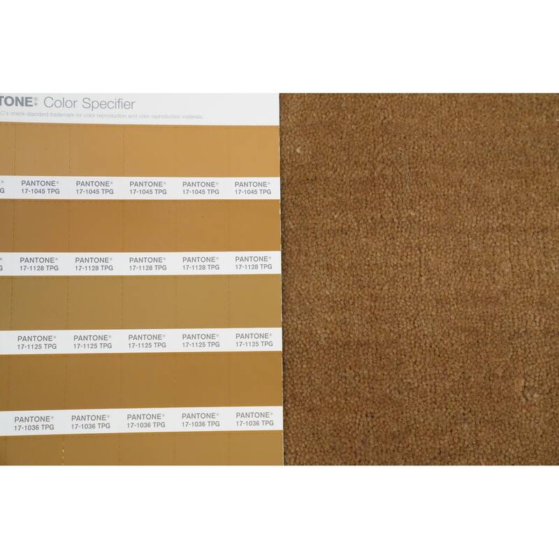 Hand Knotted Oriental 100% Wool Carpet Tribal Animal Pictorial Brown Gabbeh Area Rug - 10' 7'' X 8' 2''