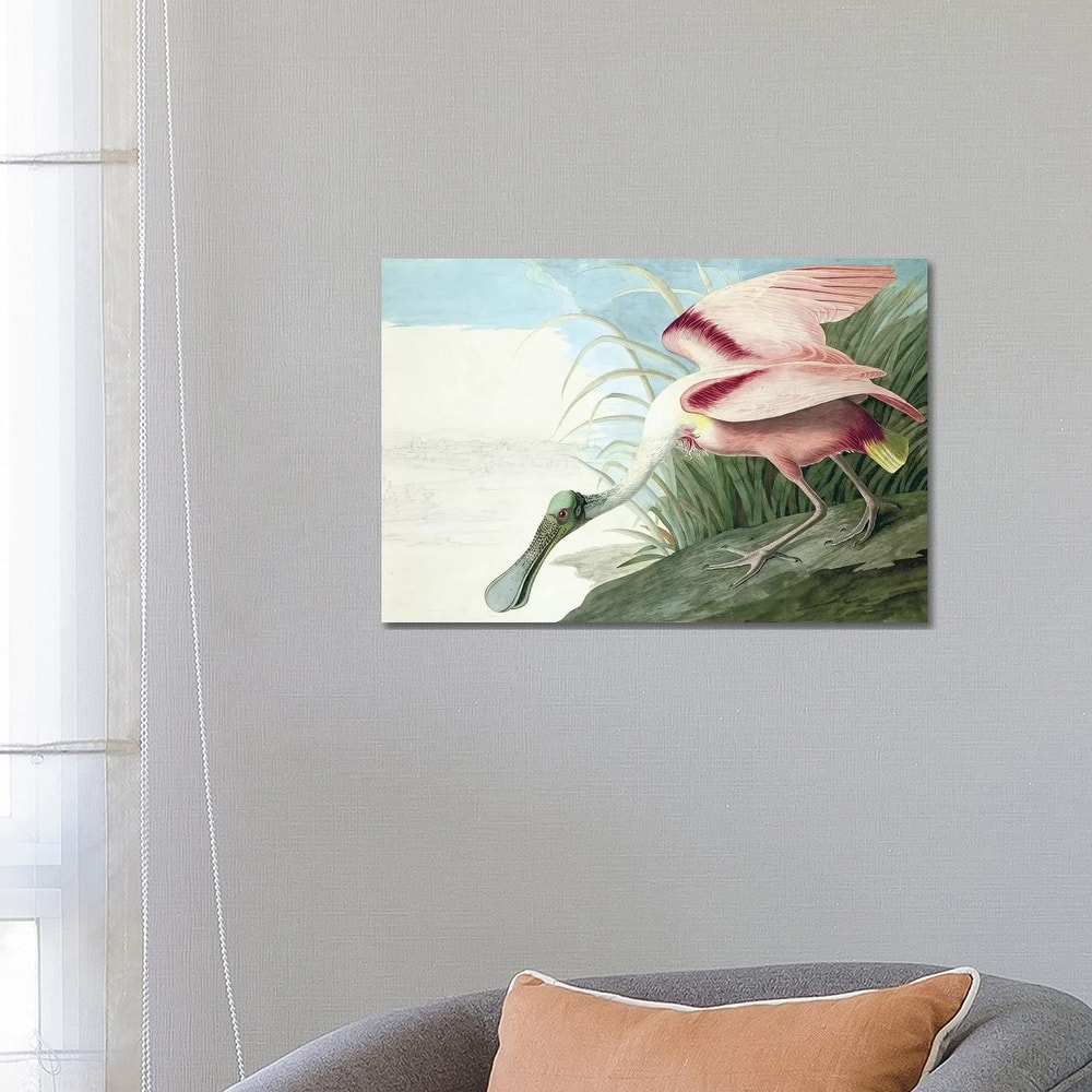 iCanvas "Roseate Spoonbill, The Birds Of America" by John J. Audubon, pub. 1827-38" by John James Audubon Canvas Print