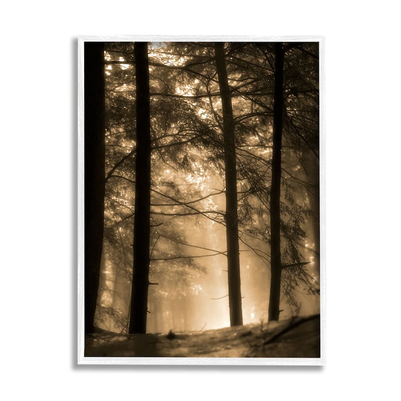 Stupell Light Through Forest Tree Top Foggy Woodland Photography Framed Wall Art - Yellow
