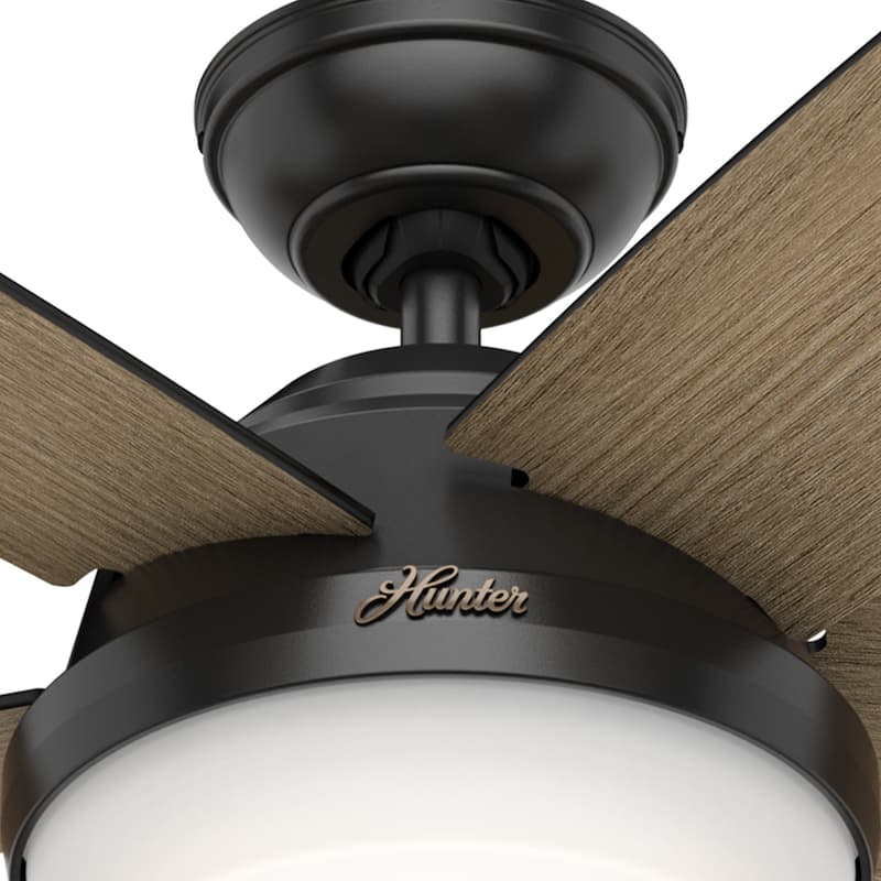 Hunter 52" Avia Ceiling Fan with LED Light and Handheld Remote