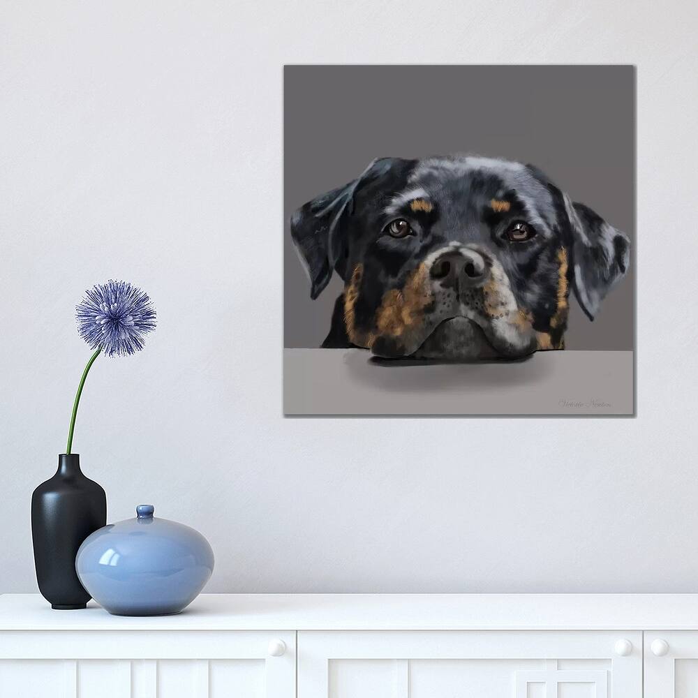 iCanvas "Rotweiller" by Vicki Newton Canvas Print