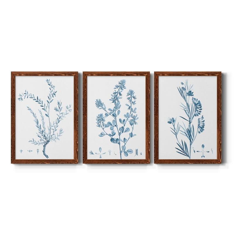 Antique Botanical in Blue VII-Premium Framed Canvas - Ready to Hang - Multi-Color