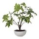 preview thumbnail 5 of 3, Uttermost Pachira Money Tree