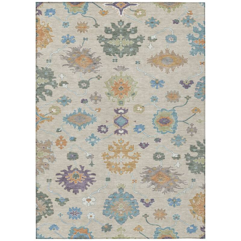 Machine Washable Indoor/ Outdoor Traditonal Delhi Chantille Rug