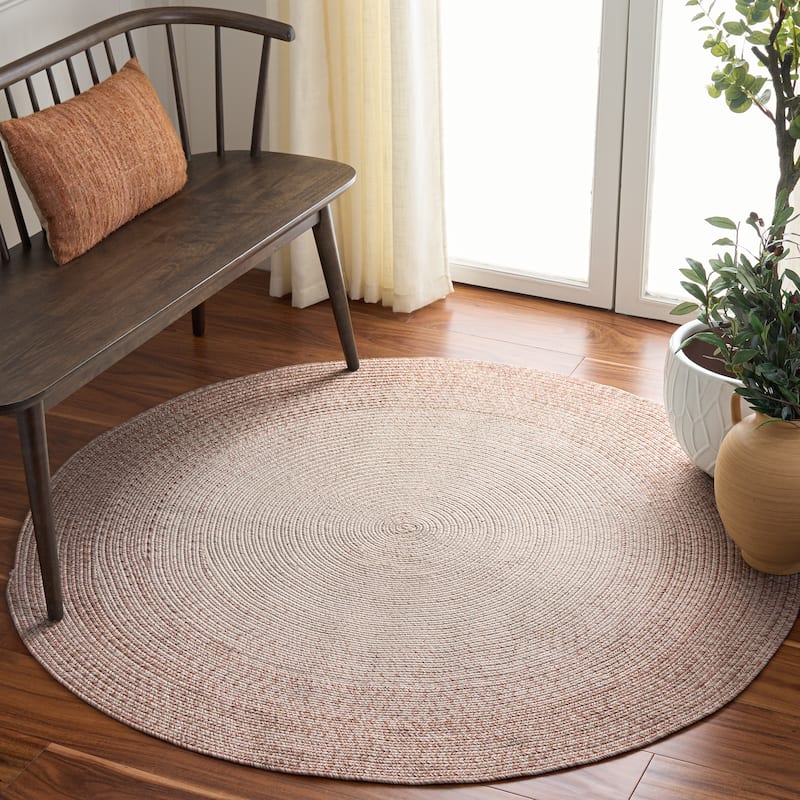 SAFAVIEH Handmade Braided Eiry Washable Indoor/Outdoor Rug - Weather Resistant & Easy Cleaning