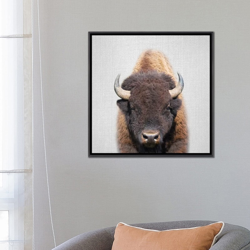 iCanvas "Buffalo" by Gal Design Framed