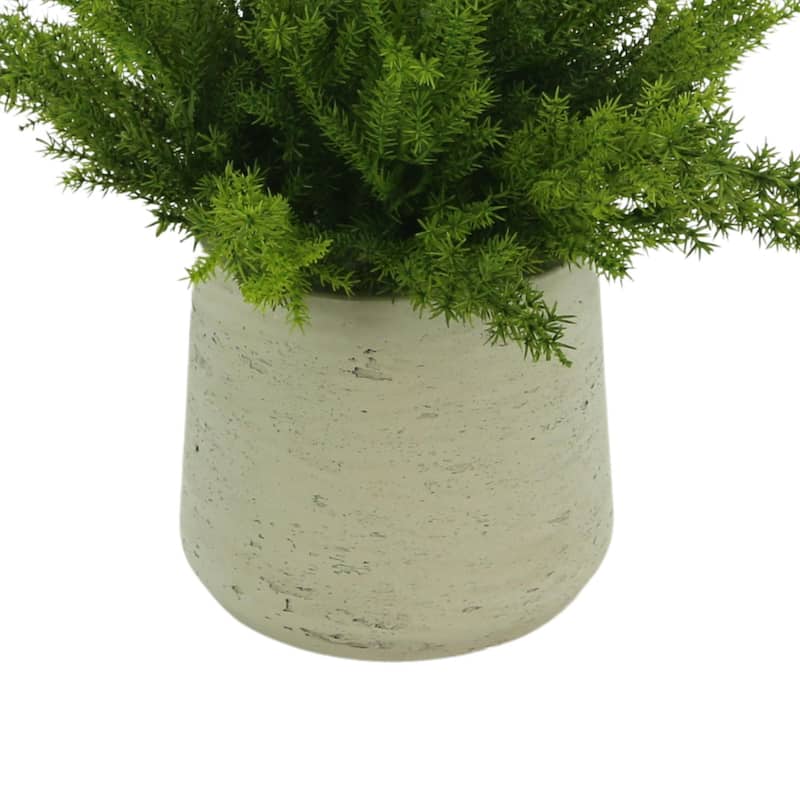 Cedar Arranged in Fiberstone Pot - Green