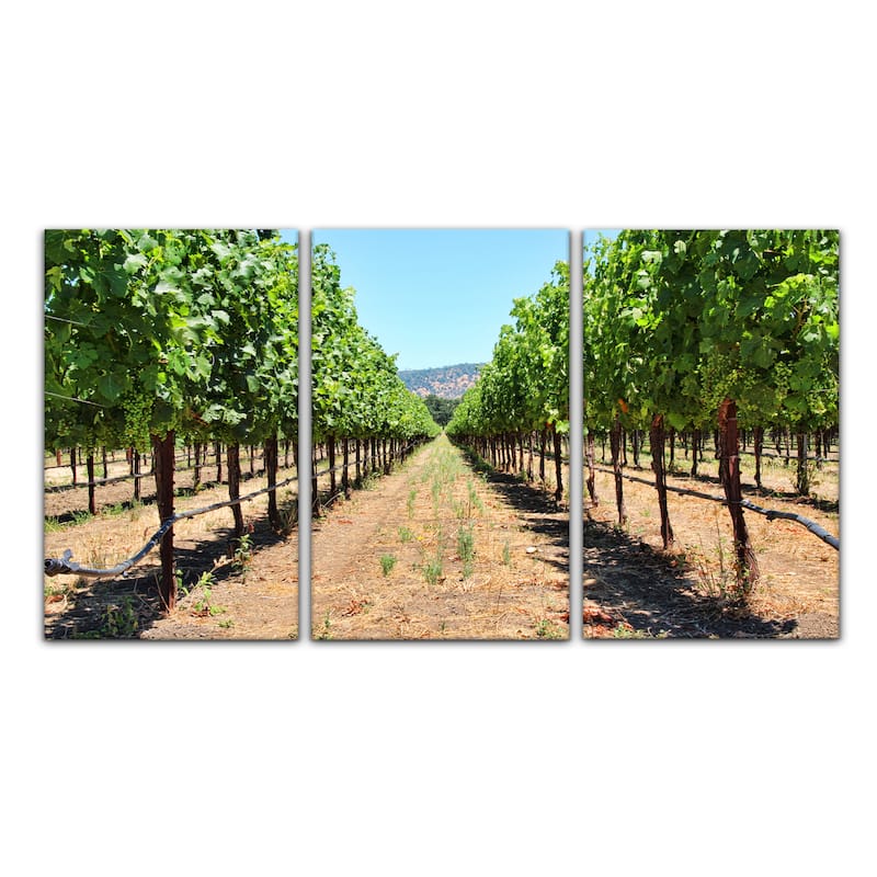 Ready2HangArt 'Napa Grapes' 3-Piece Wrapped Canvas Wall Art Set