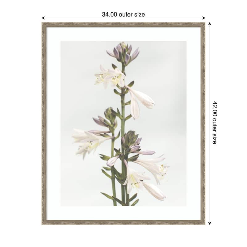 Kate and Laurel Framed Art Hosta by Alicia Abla