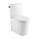 Option Glossy White / Black