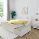 preview thumbnail 1 of 11, Max and Lily Queen Bed with Storage Drawers
