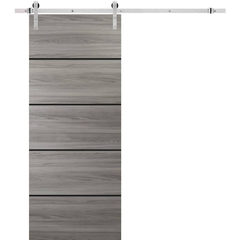 Sturdy Barn Door 36 x 80 Planum 0015 Ginger Ash with 6.6FT - 42" x 96"
