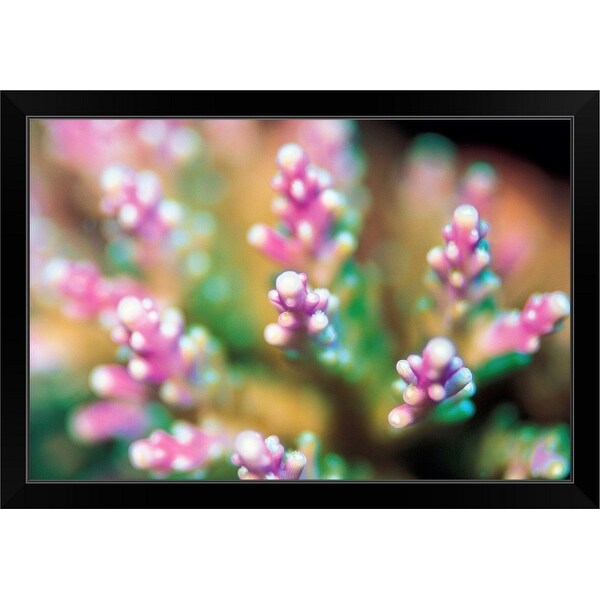 "Pink Flowers" Black Framed Print