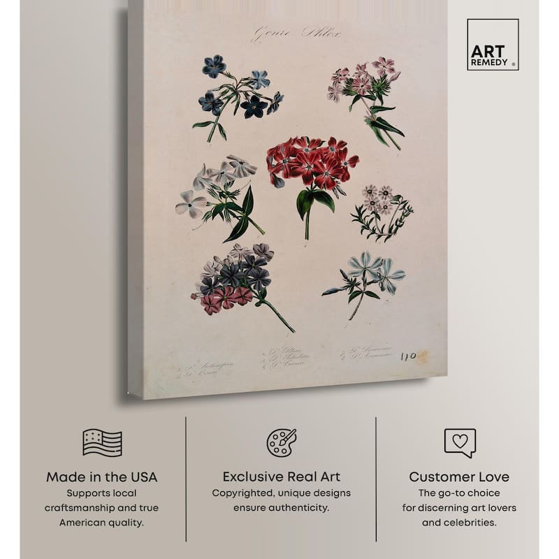 Seven Flowering Plants Canvas by Art Remedy, Gallery Wrapped