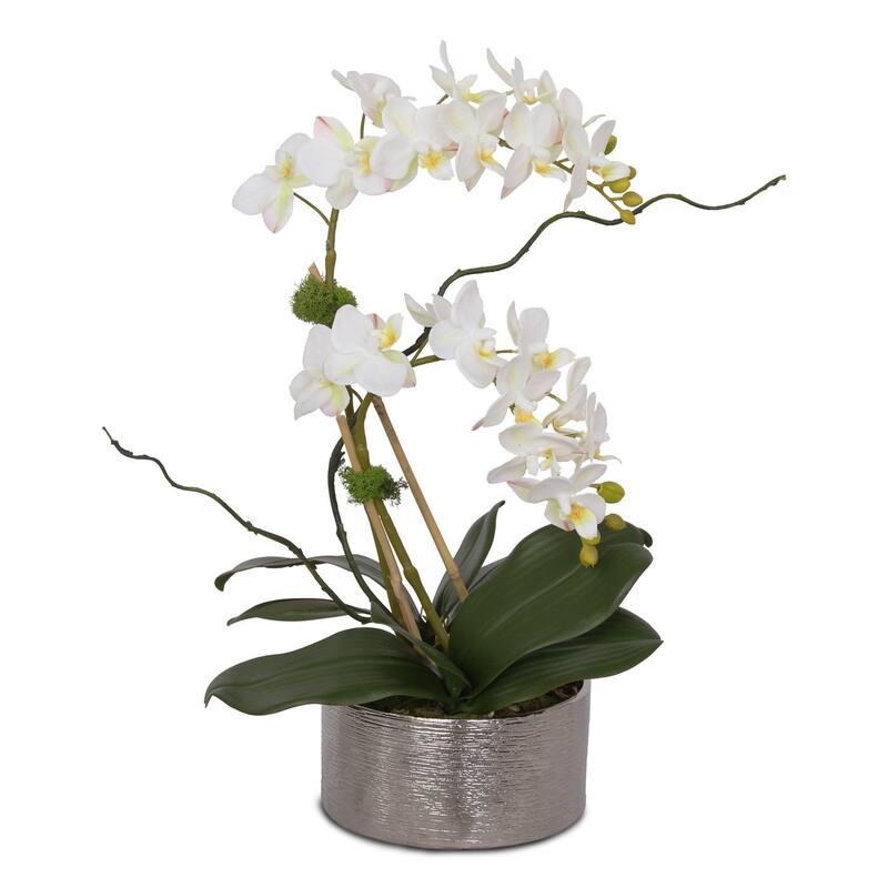 Real Touch White Orchid Flower Arrangement in Round Silver Ceramic Pot - 10W x 8D x 15H