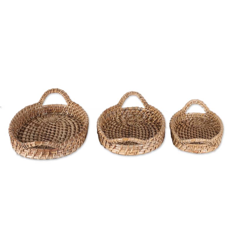 Novica Handmade Visit To Paradise Natural Fiber Baskets (Set Of 3)