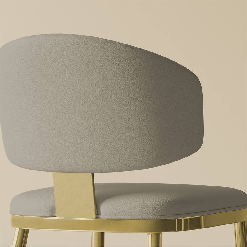 Ergonomic Dining Chairs with Cushioned Seat, Carbon Steel, Set of 2