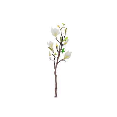 Magnolia Large Spray White