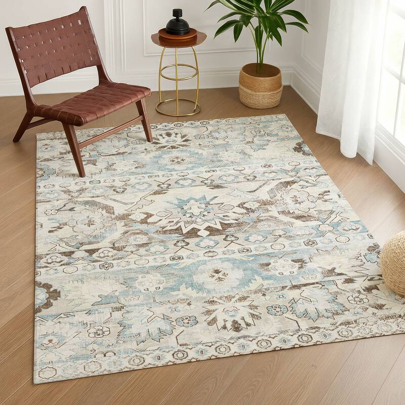 Machine Washable Indoor/ Outdoor Traditional Hudson Chantille Rug