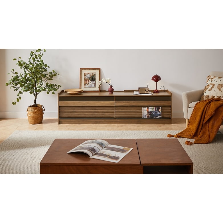 TV Stand with Ample Storage