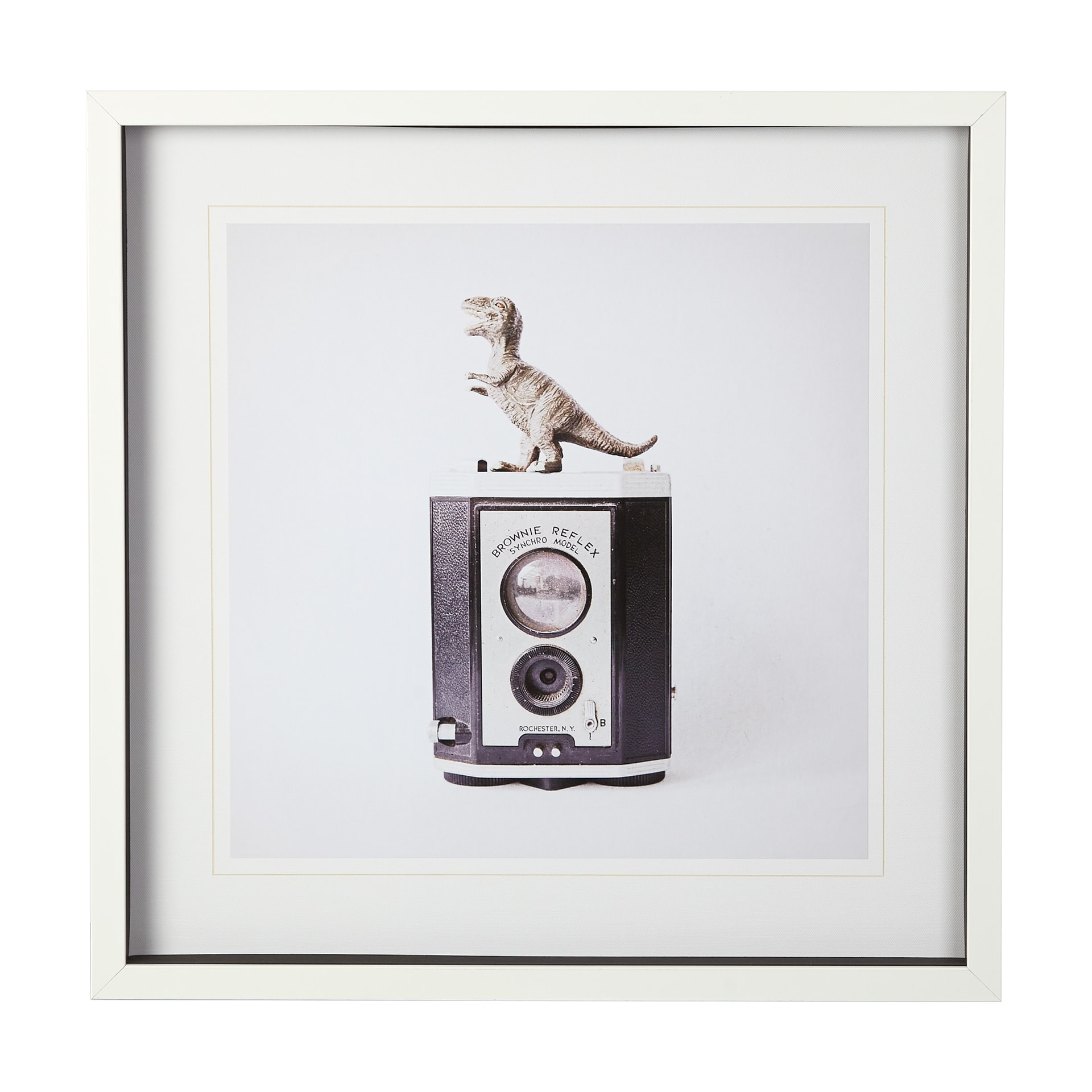 T-rex & Vintage Camera by Susannah Tucker Photography a Framed Photo Art Print Matted under Glass