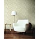 Option Ochre