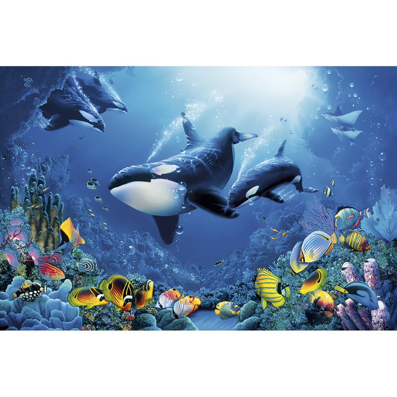 Delight of Life Ocean Orcas Art Poster - 24 x 36 Inch