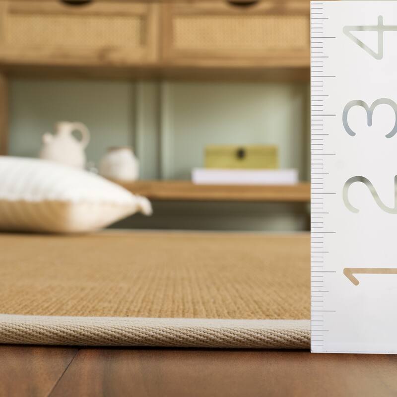 SAFAVIEH Handmade Natural Fiber Cati Flat Weave Jute Rug