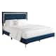 Option Navy Blue