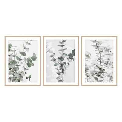 "Eucalyptus" Framed 3-Piece Wall Art Set by Studio III