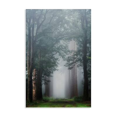 Stupell Calm Forest Clearing Canvas Wall Art Design By Martin Podt