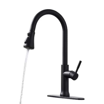 Stainless Steel Kitchen Faucets Are Versatile