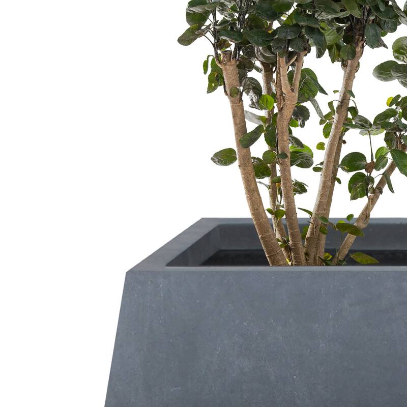 Kante 21.2", 16.1"W Square Charcoal Finish Lightweight Concrete/Fiberglass Planters (Set of 2)