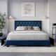 Option Blue