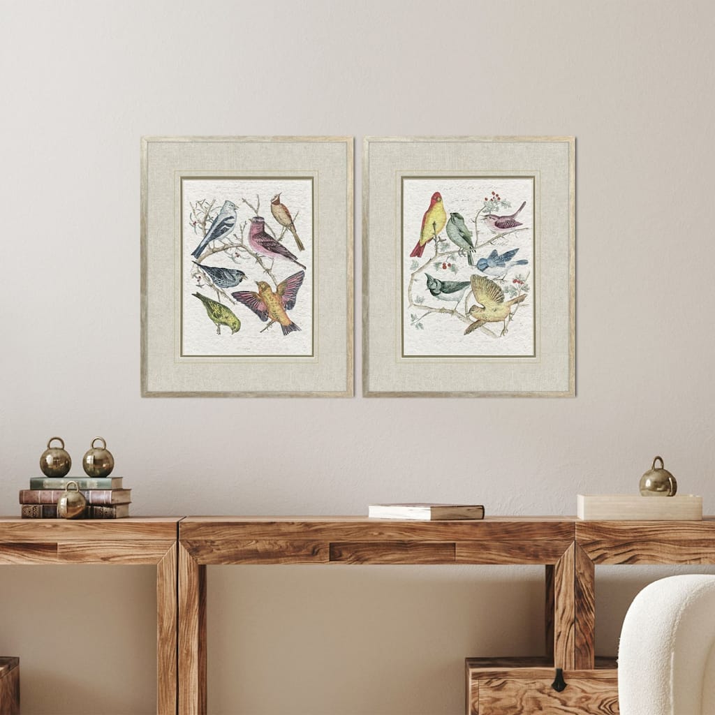 Paragon Bird Variety Framed Art - Set of 2