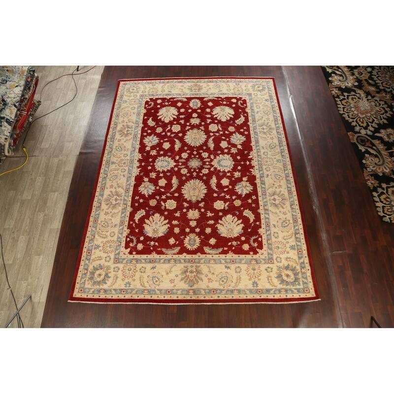Vegetable Dye Floral Ziegler Oriental Wool Area Rug Handmade Carpet - 10'1" x 13'8"