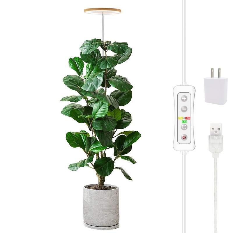 product-thumb