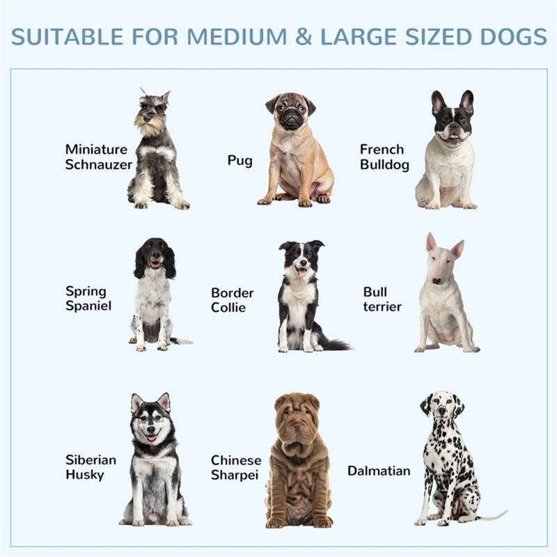 Grey Dog Cage with Secure Welded Frame Slide-Out Tray Front and Top Doors and Rolling Wheels