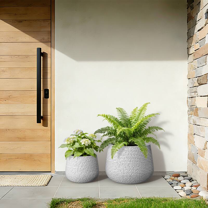 Upgraded Interior Concrete Round Planter with Draiange Holes