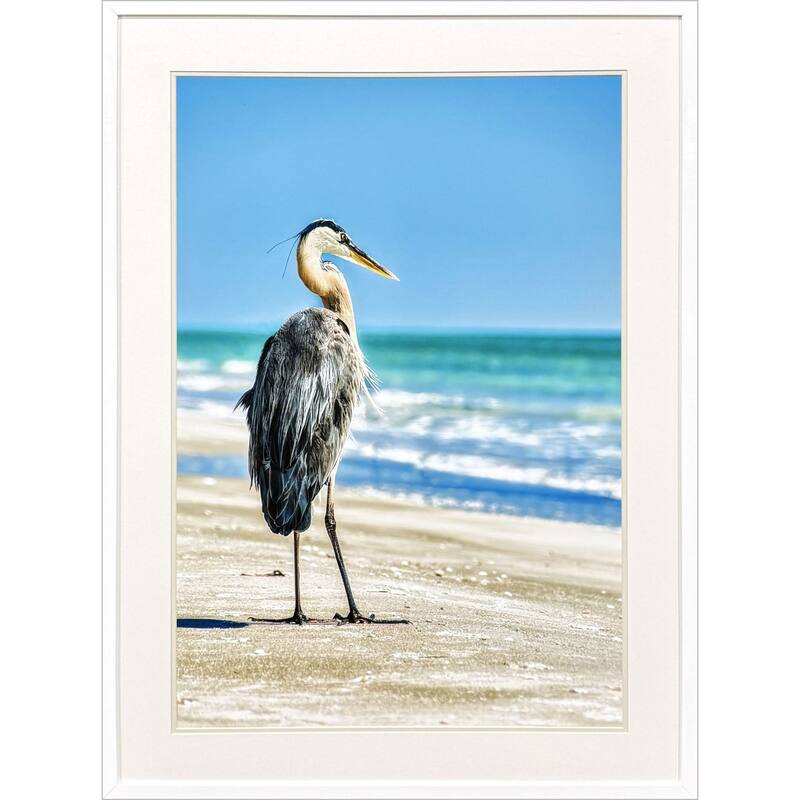 Paragon Avian Perspective Framed Art