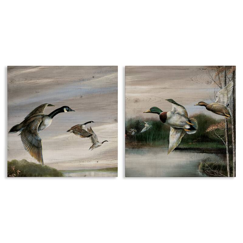 Stupell Geese & Ducks in Nature Canvas Wall Art Design By Ruane Manning (Set of 2) - 17 x 17