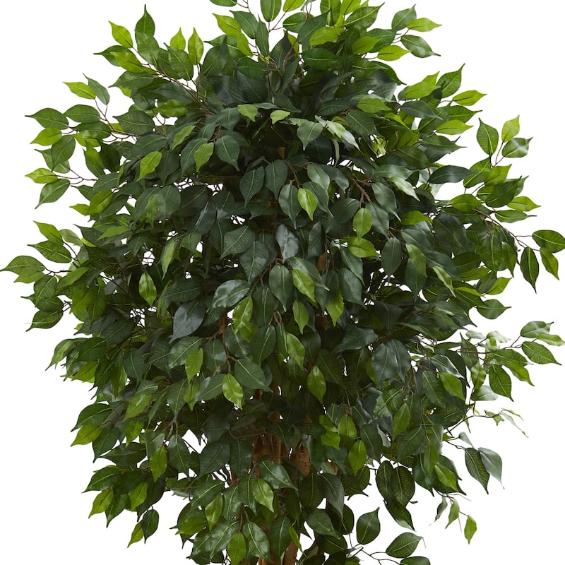Artificial Mediterranean Tree - 5.5ft Indoor Outdoor Decor - Lush Foliage & Multiple Trunks - Home Office Living Room - 5.5ft.