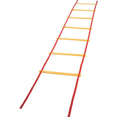 Economy Agility Ladder - N/A