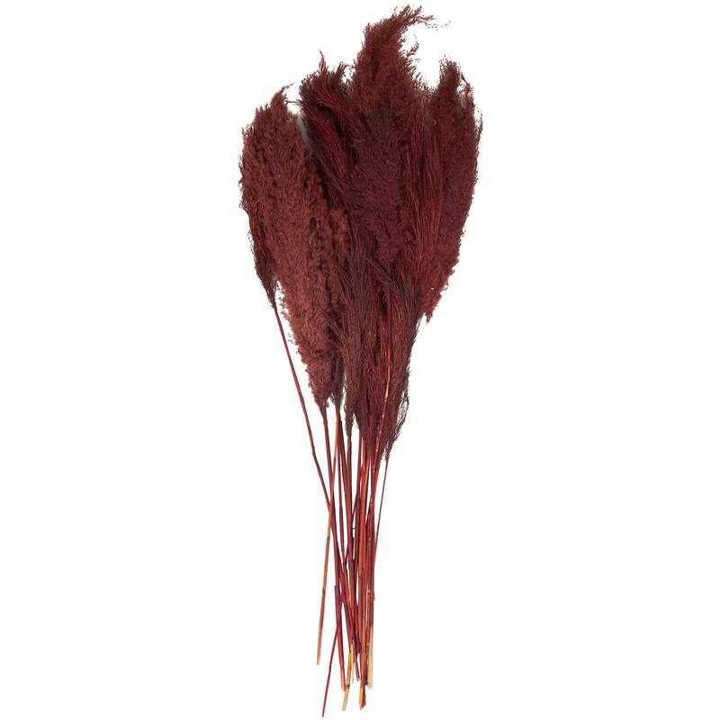 Red Dried Plant Pampas Grass Home Decor Natural Foliage with Long Stems