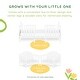 preview thumbnail 6 of 19, Sweetpea Baby Rose 3-in-1 Convertible Toddler Bed