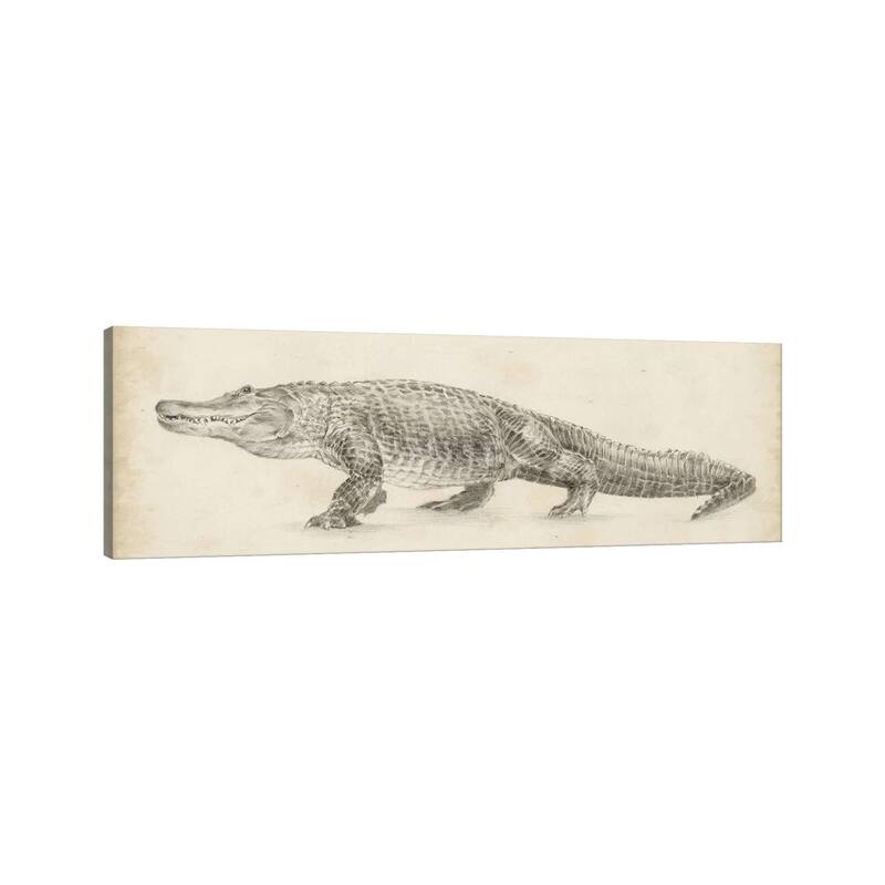 iCanvas "Alligator Sketch" by Ethan Harper Canvas Print