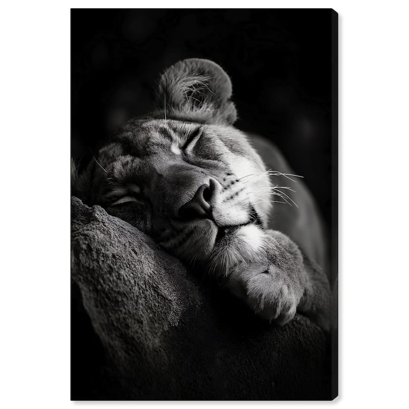 Resting Predator Canvas by Art Remedy, Gallery Wrapped - 30" x 45"