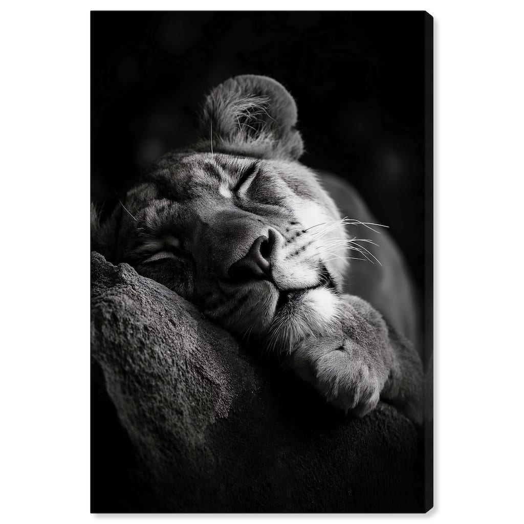 Resting Predator Canvas by Art Remedy, Gallery Wrapped