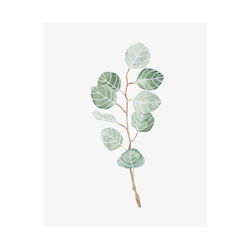 Soft Eucalyptus Branch III (40 x 50) Canvas Art Print - Large